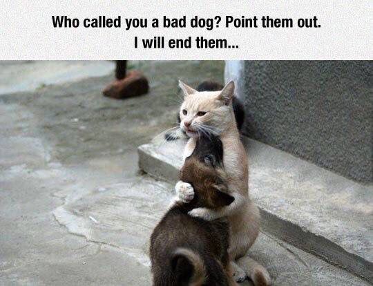 Over worked, over stressed & spending too much time stressing over how to fit everything in.... Arrggh.