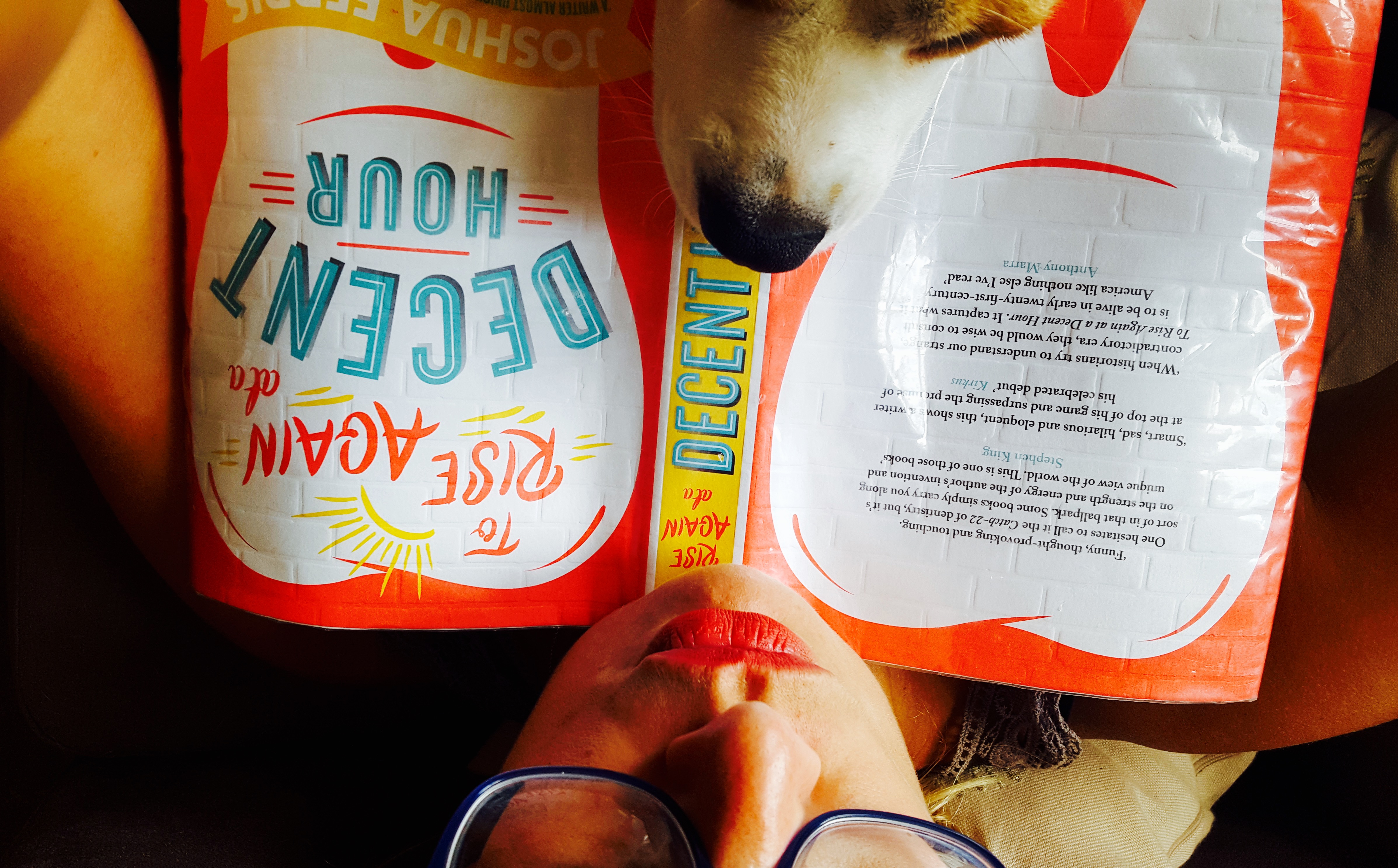 Books, glorious books, teeth, thrillers and buildings...