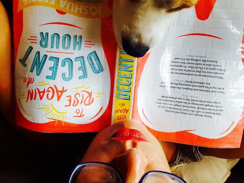 Books, glorious books, teeth, thrillers and buildings...