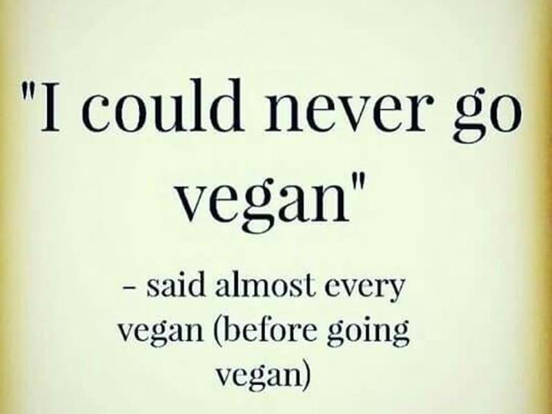 You don’t have to be a vegan (but you can be) to love the food and get involved.