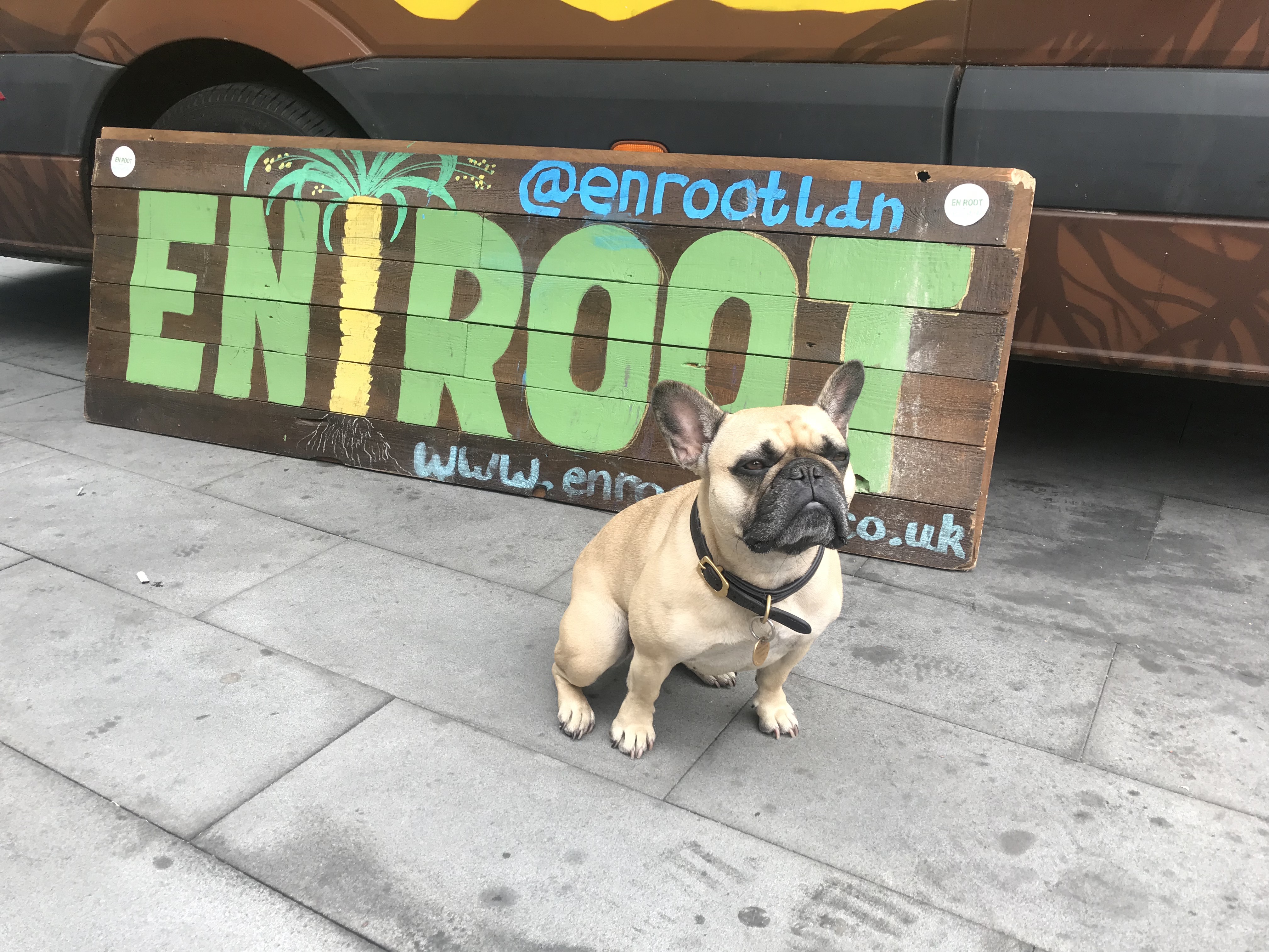 Elphie The Frenchie & En Root