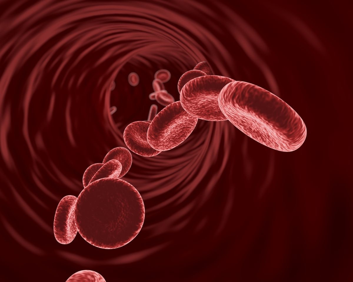 B12 boosts for Flexitarians, Vegetarians and Vegans.